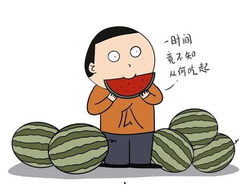 黑料吃瓜网apk普通安装