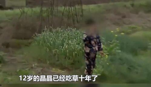 黑料吃瓜网apk普通安装 