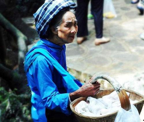 樱花校园恋爱派对